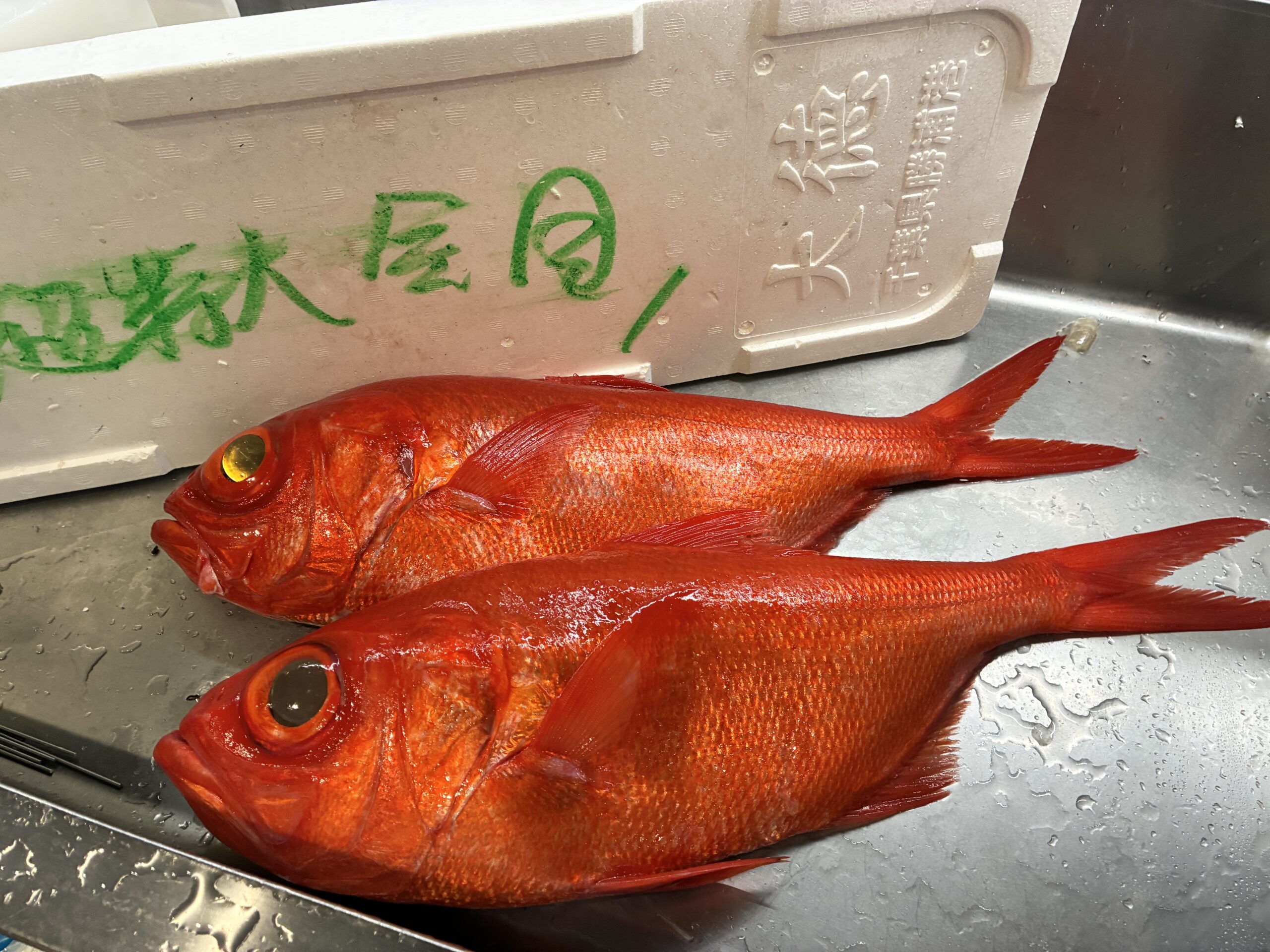 旬菜いこい | 愛知新安城駅北口の居酒屋 | 慶事・法事・仕出・ランチ 